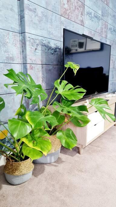 Stylish 2 Bedroom Apartment / Free Gated Parking Glasgow Exteriör bild
